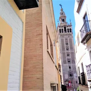 ¡en Frente De La Giralda-catedral! Seville