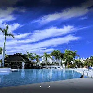 https://adeje-paradise.in-canary-islands.com